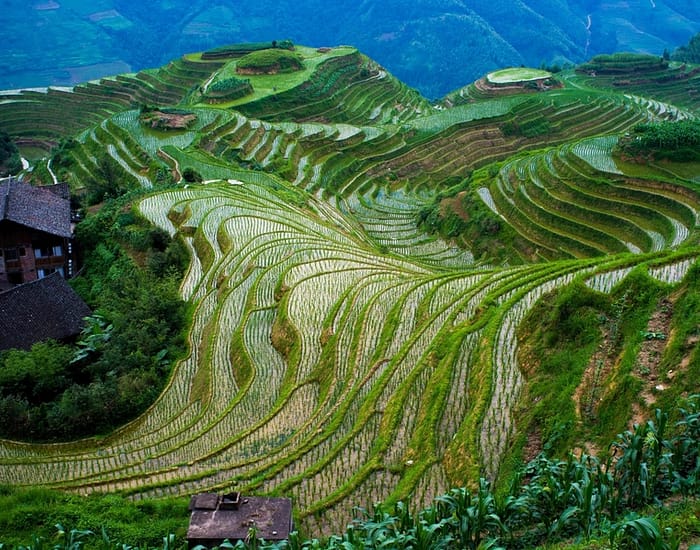 Climate Kic food