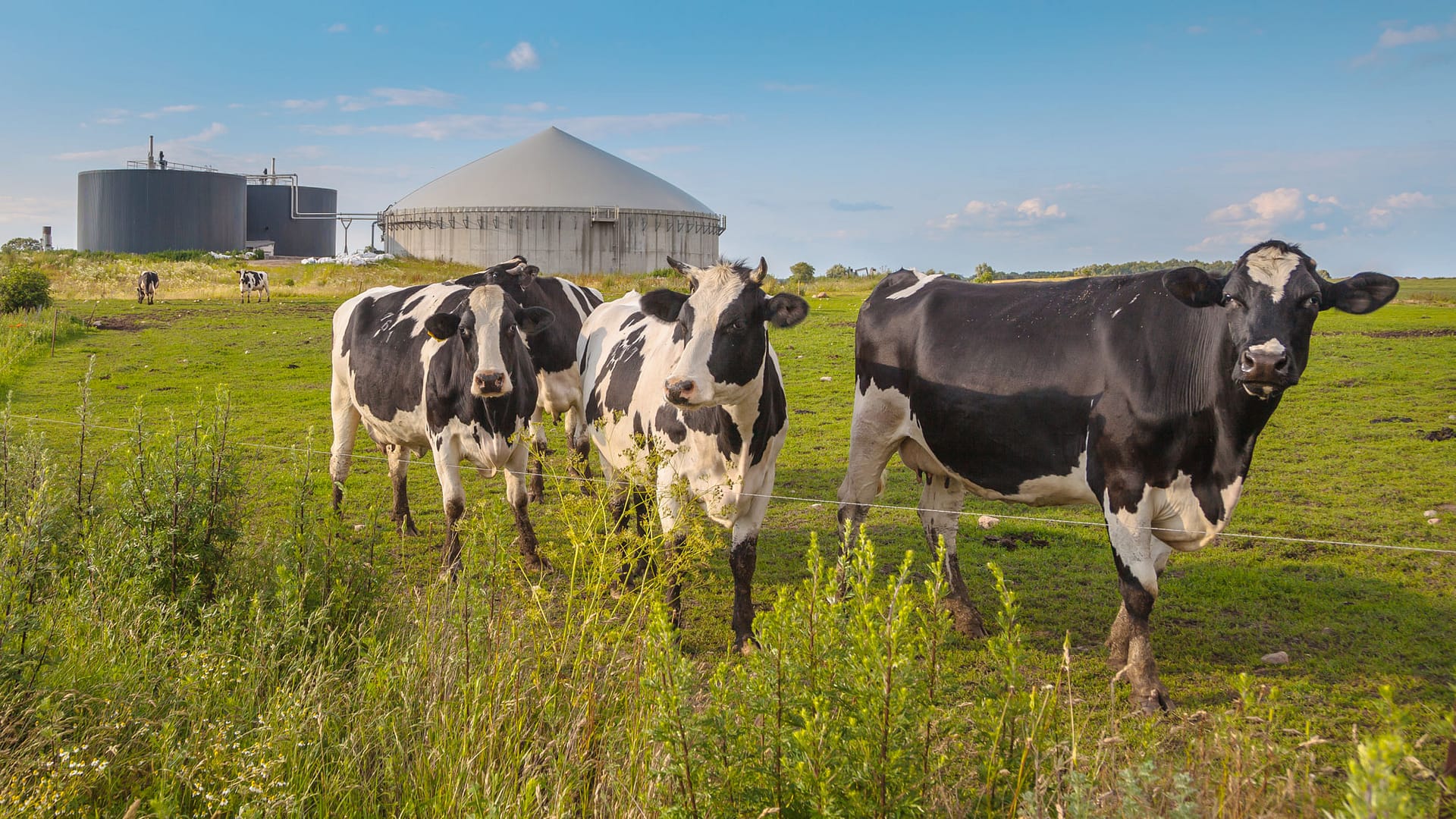 The agriculture sector was identified as one of four key sectors with circular opportunities in the rural north of the Netherlands.