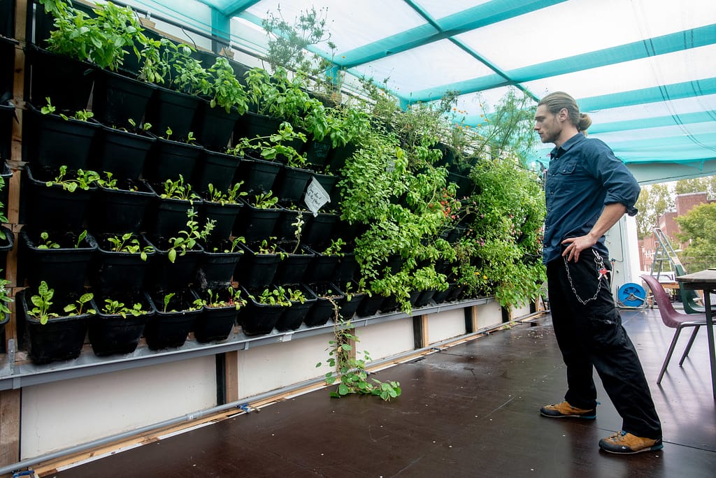 The aquaponics greenhouse at De Ceuvel
