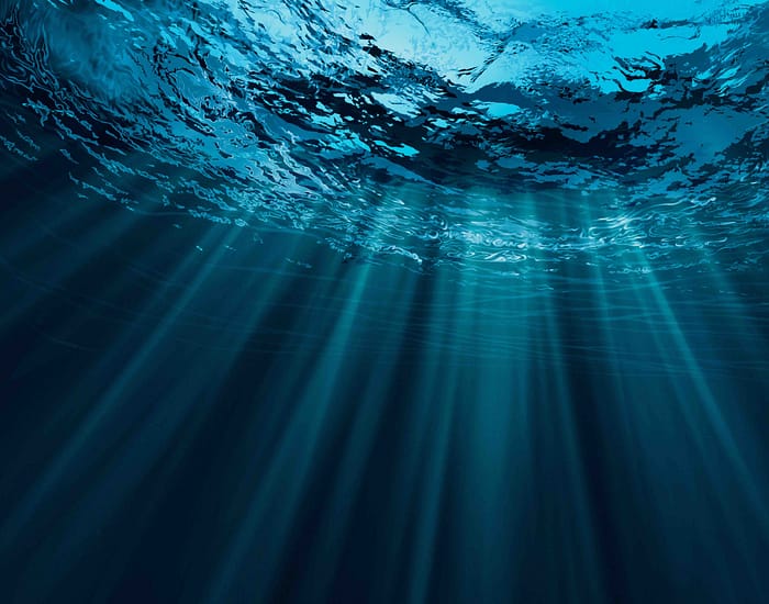 Value at Risk in the Blue Economy_WWF_Metabolic